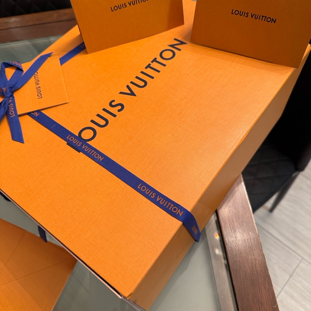 Louis Vuitton mens sneakers